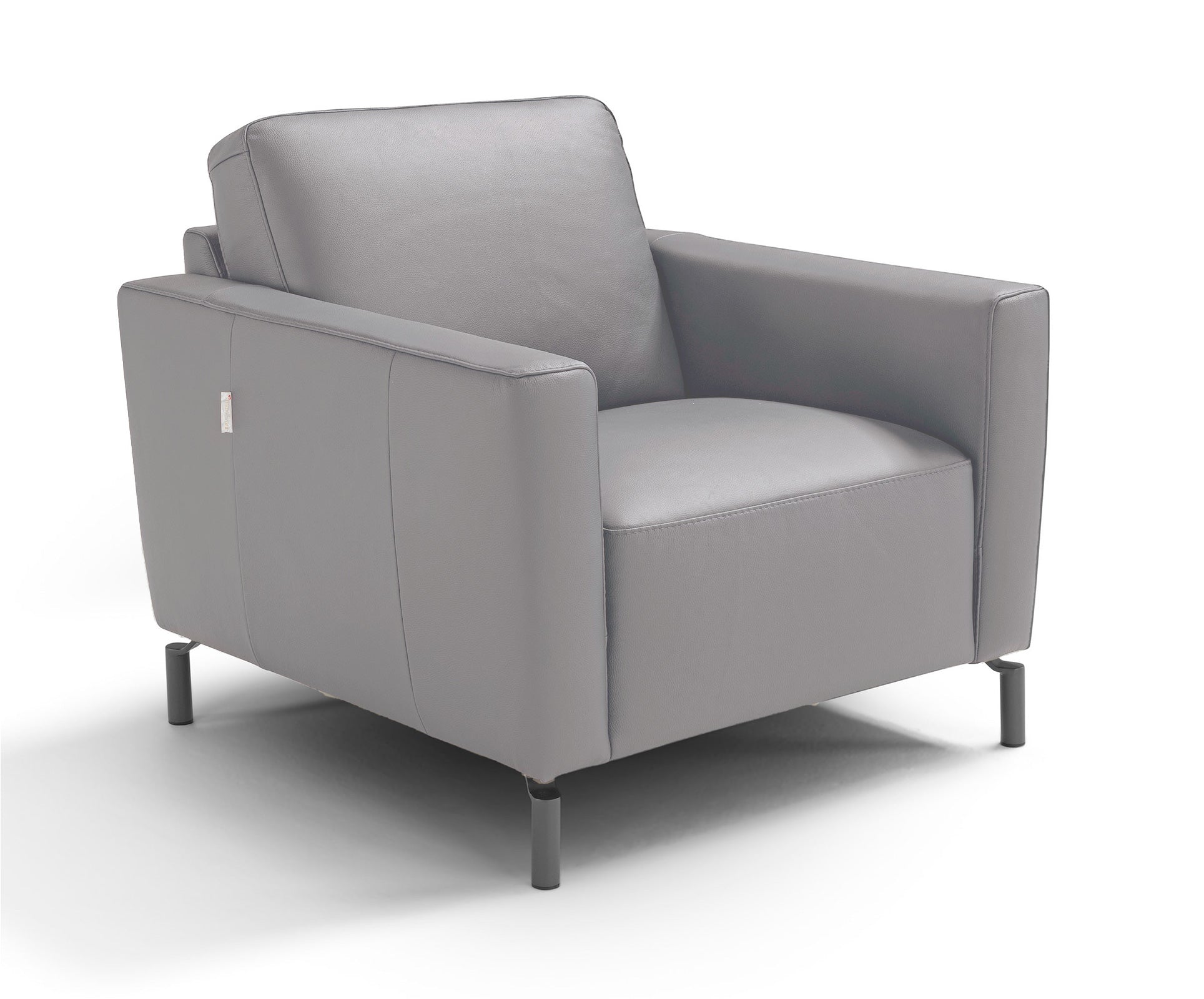 Caleb Leather Chair in Light Grey | Max Divani - Canal Furniture