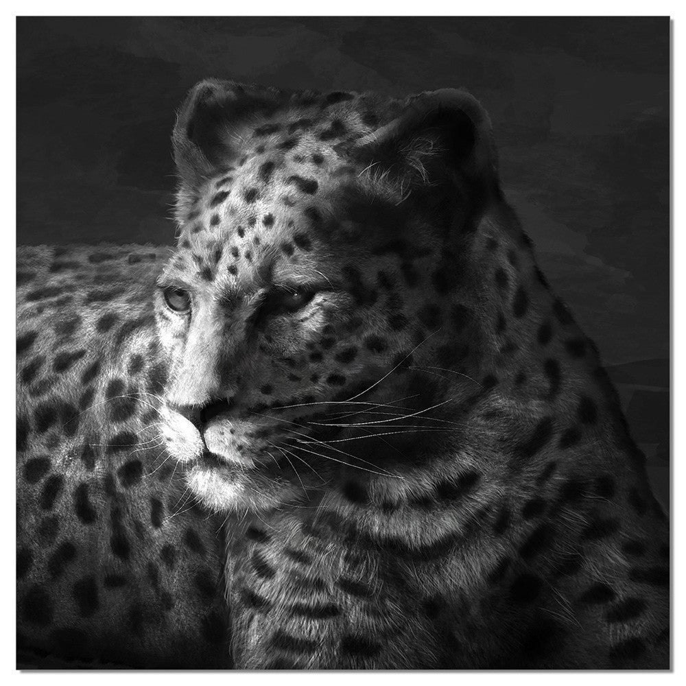 J and M Furniture Wall Art Cheetah SB-61253A
