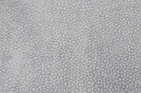 Thea I572 Lounge Fabric Armchair in Taupe | Incanto - Canal Furniture