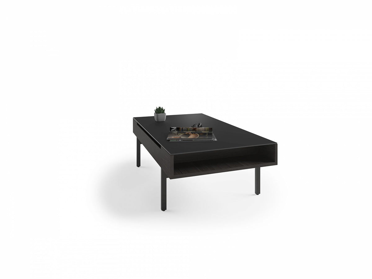 Reveal 1192 Lift Top Coffee Table | BDI Furniture - Canal Furniture