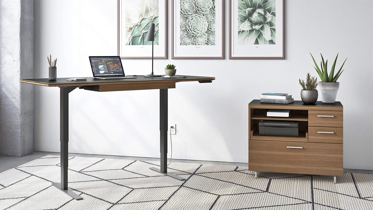 Sequel 6151 Height Adjustable Standing Desk - 60"x24" | BDI Furniture - Canal Furniture