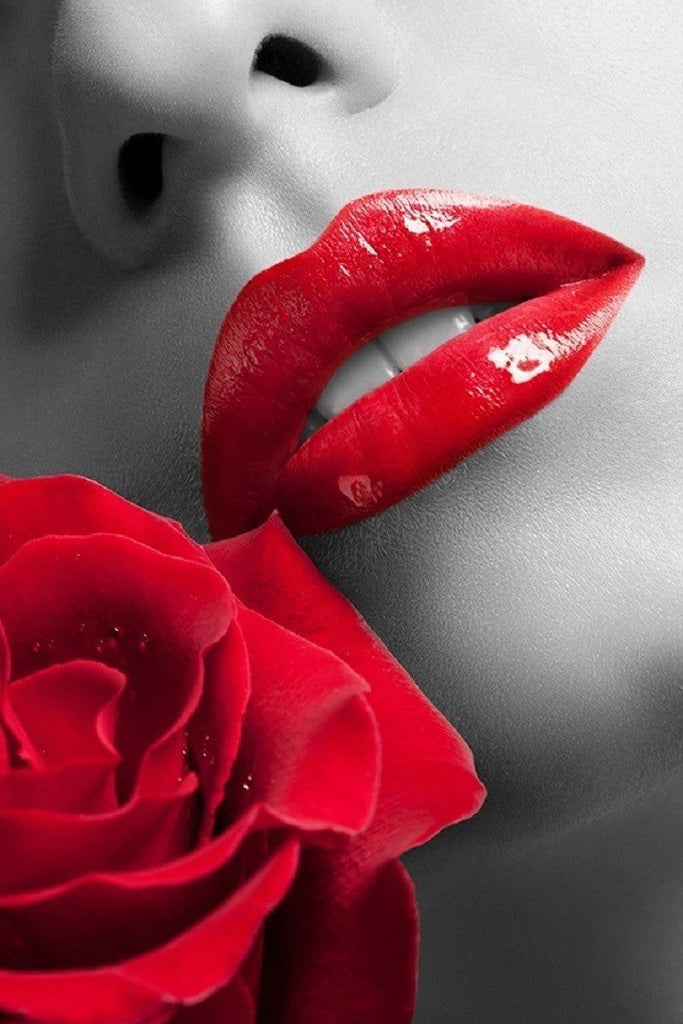 Premium Acrylic Wall Art Rose SB-61336A | J&M Furniture - Canal Furniture