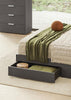 Amy Upholstered Bed | Alf Italia - Canal Furniture