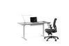 BDI Desk Centro 6451-2 Desk | BDI