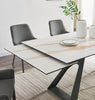 J and M Furniture Dining Sets Swan Extension Table