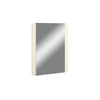 J and M Furniture Mirror Paramount Mirror