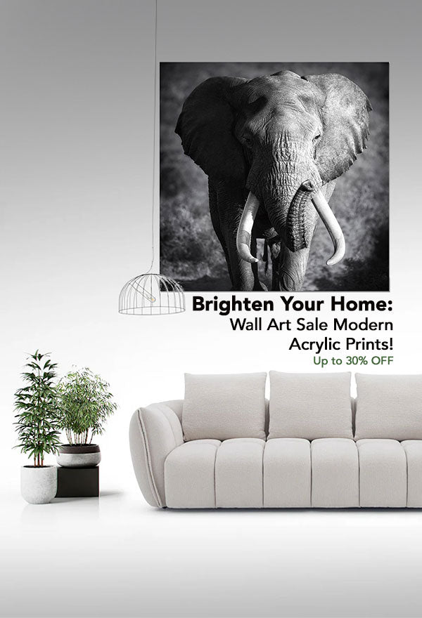 brighten your home: wall art sale modern acrylic prints! up to 30% off